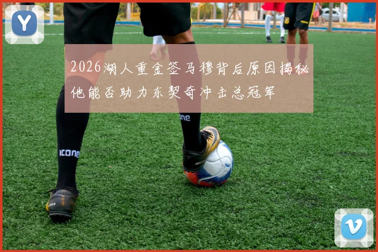 2026湖人重金签马穆背后原因揭秘他能否助力东契奇冲击总冠军