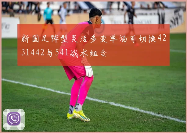 新国足阵型灵活多变单场可切换4231442与541战术组合