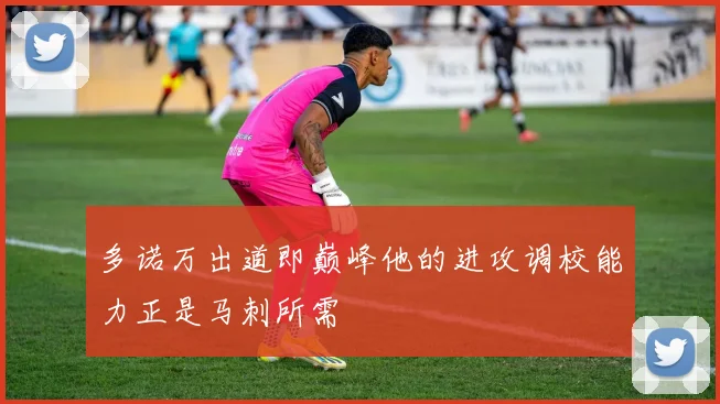 多诺万出道即巅峰他的进攻调校能力正是马刺所需